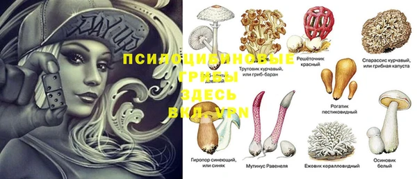 ECSTASY Бугульма