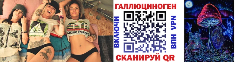 Купить  Слюдянка  Псилоцибиновые грибы Cubensis 